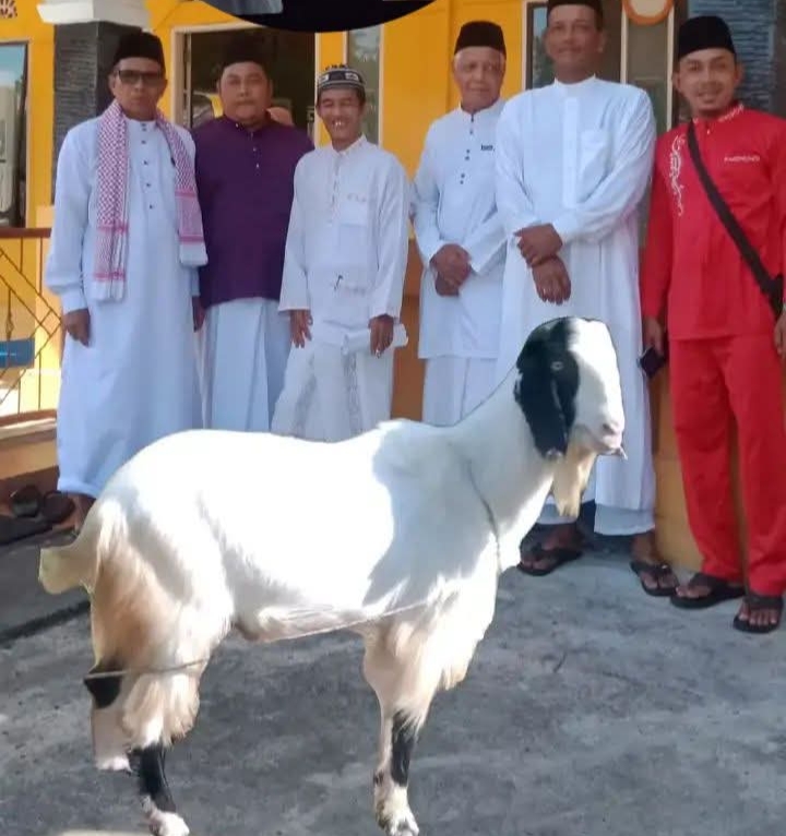 Semangat Berqurban Meningkat, Masyarakat Desa Muntai Sembelih Belasan Hewan Qurban pada Idul Adha 1447 H